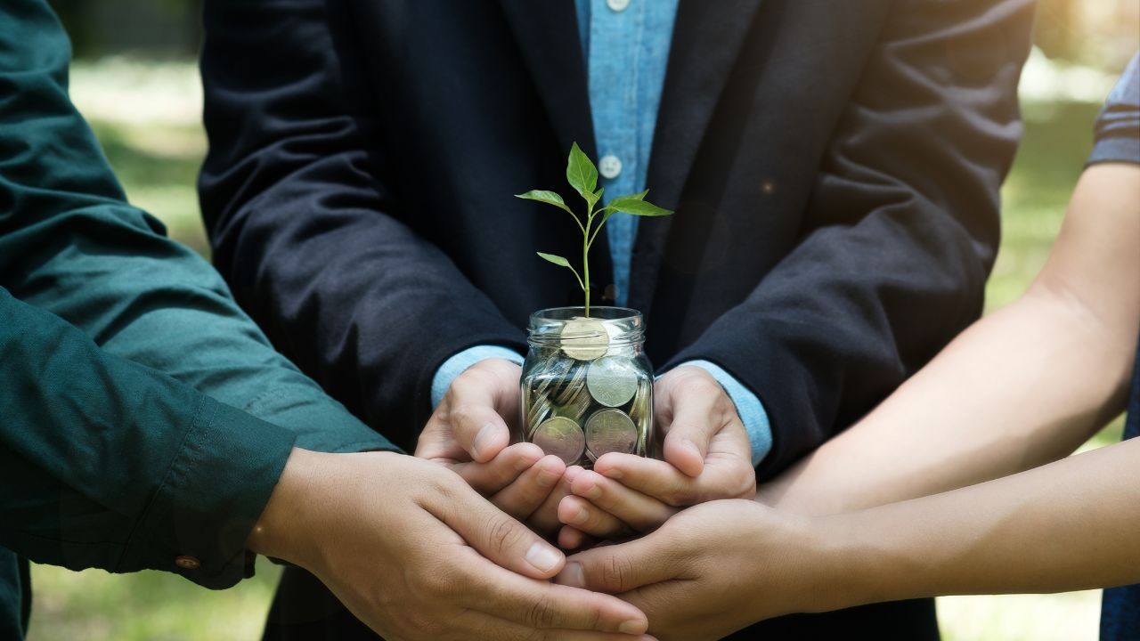 Professional gardening template