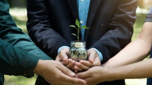 Milhões de créditos de carbono não têm lastro em preservação florestal, mostra estudo